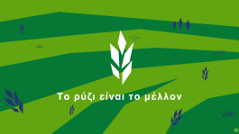 Σύστημα Παραγωγής Ρυζιού Provisia® & Clearfield® 