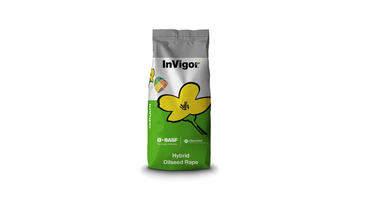 InVigor® - InV1266 CL