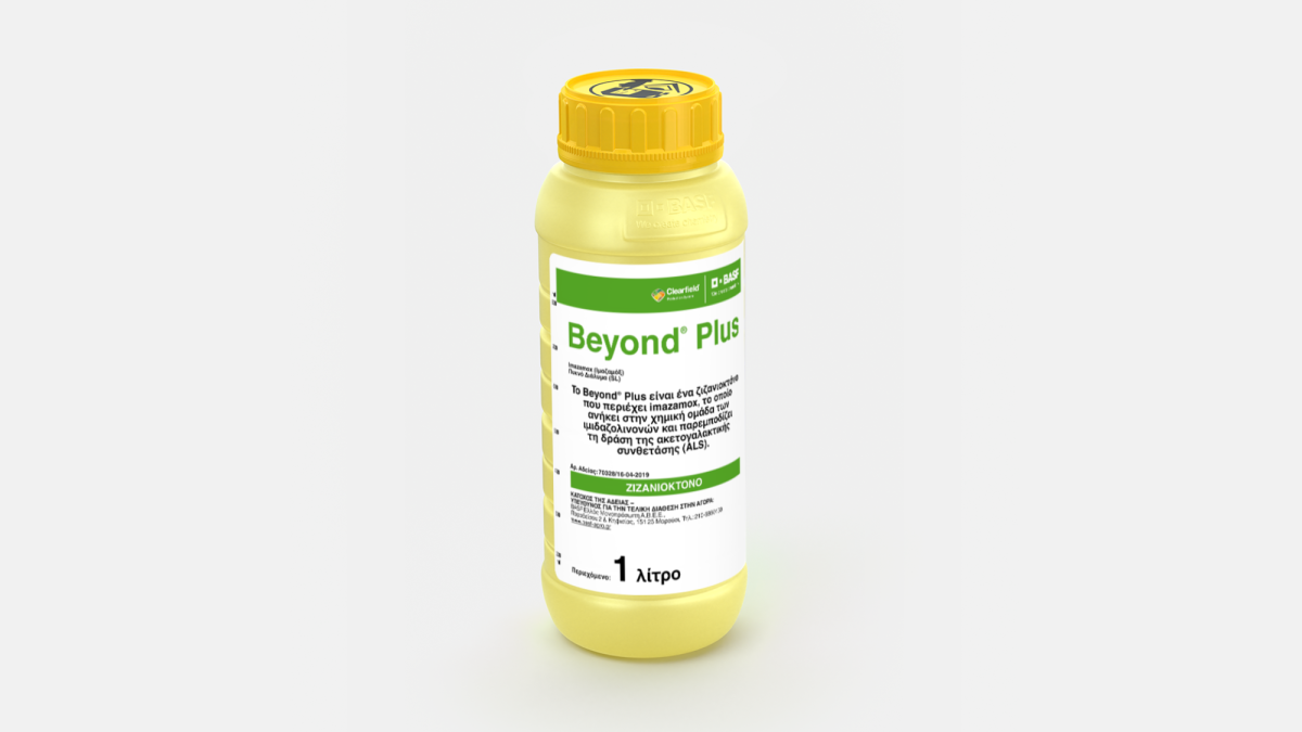Beyond® Plus - 58307477