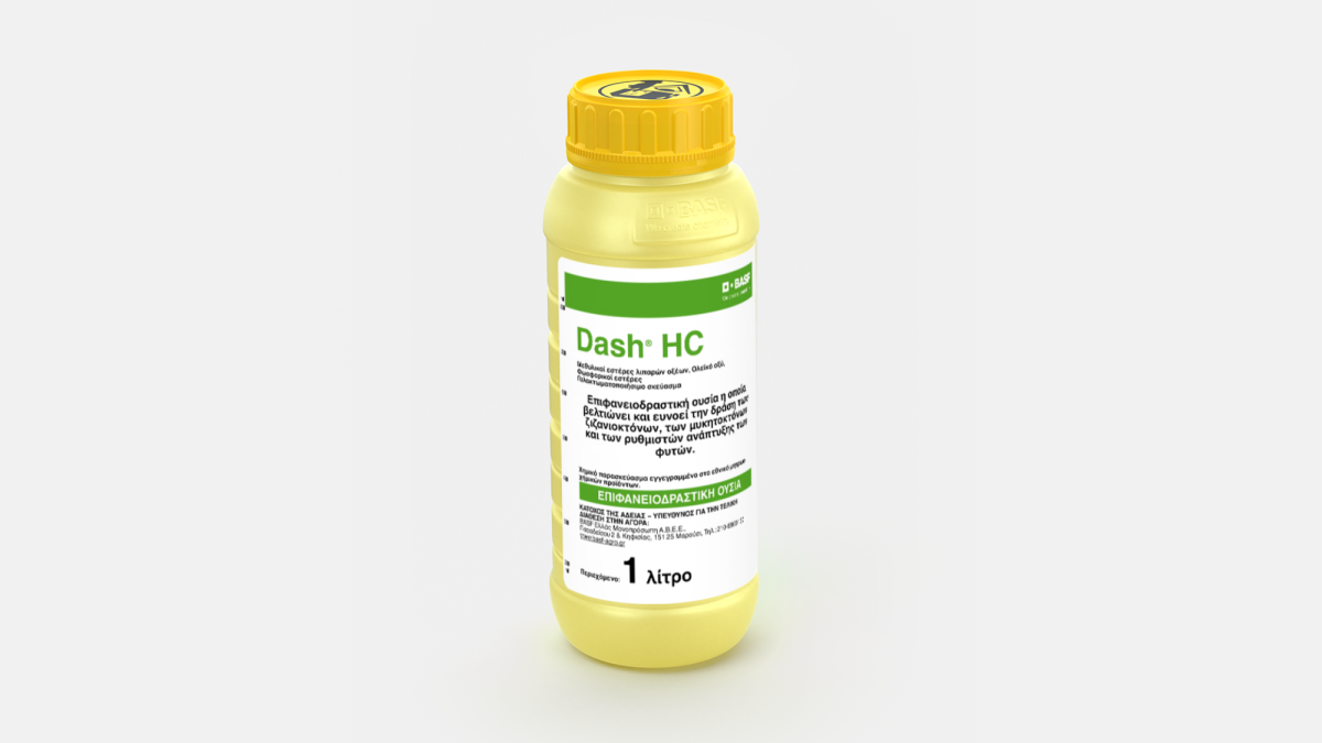 Dash® HC - 58676694