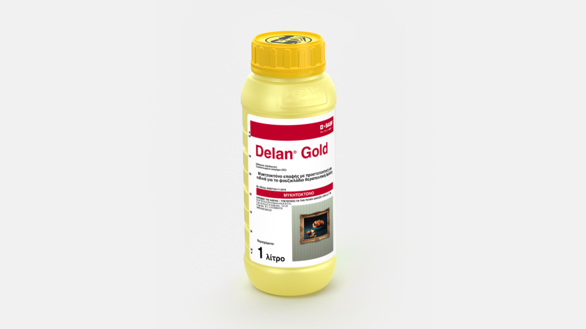 Delan® Gold - 58241009