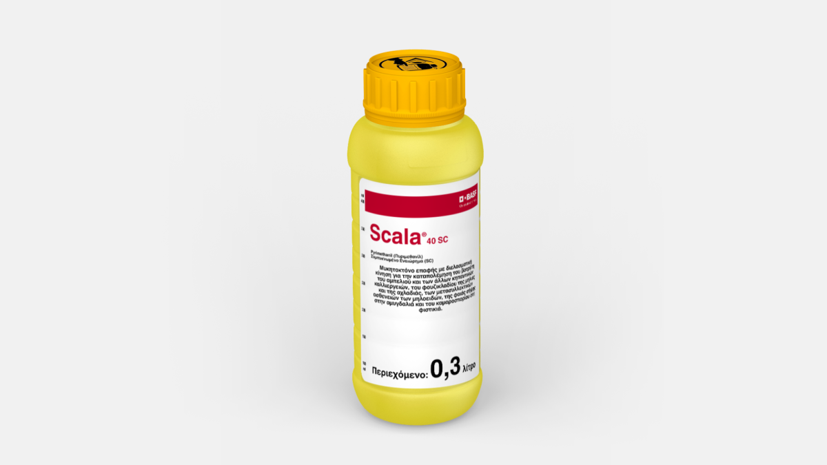 Scala® 40 SC - 58190833