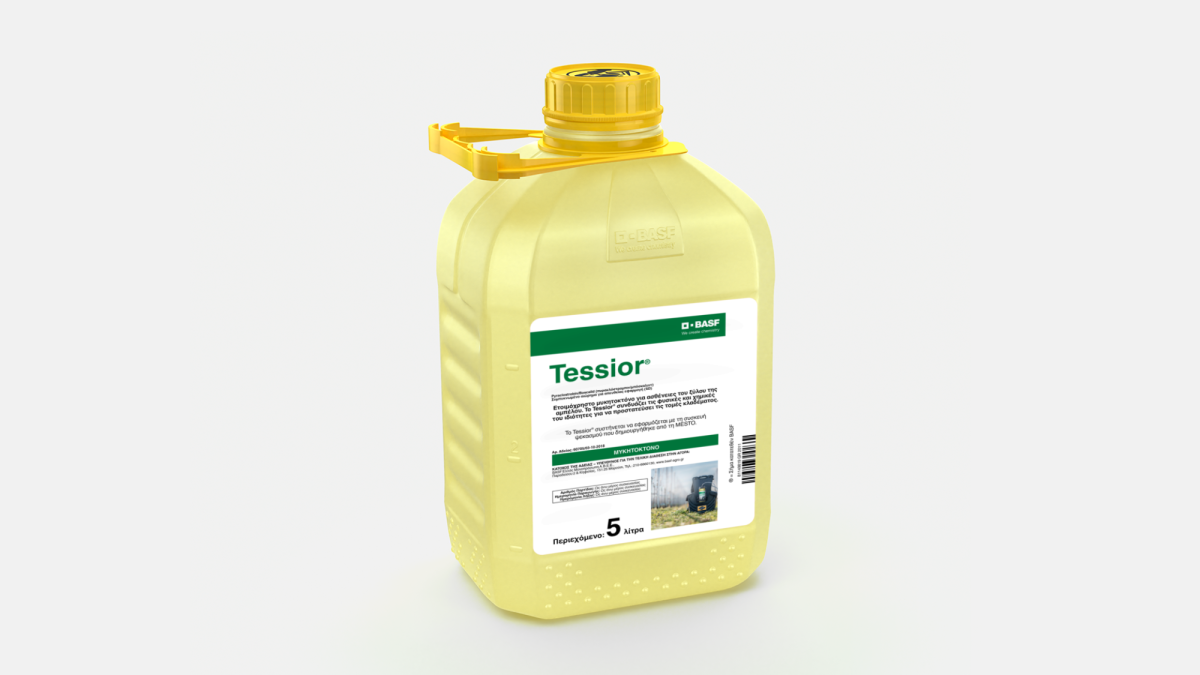 Tessior® - 58061171